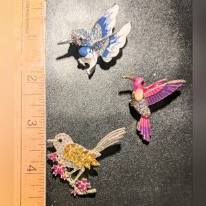 Colorful Bird Brooch Set- Blue Jay, Hummingbird And Sparrow